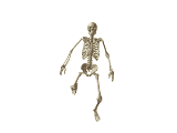 huepfendes_skelett.gif